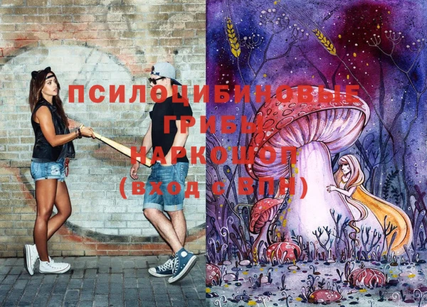ПСИЛОЦИБИНОВЫЕ ГРИБЫ Армянск